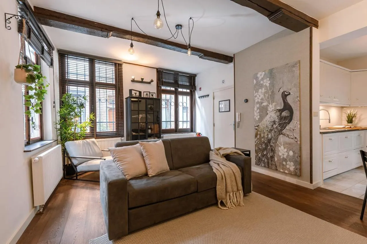 Authentic Apartment In The Heart Of Antwerp Belgium