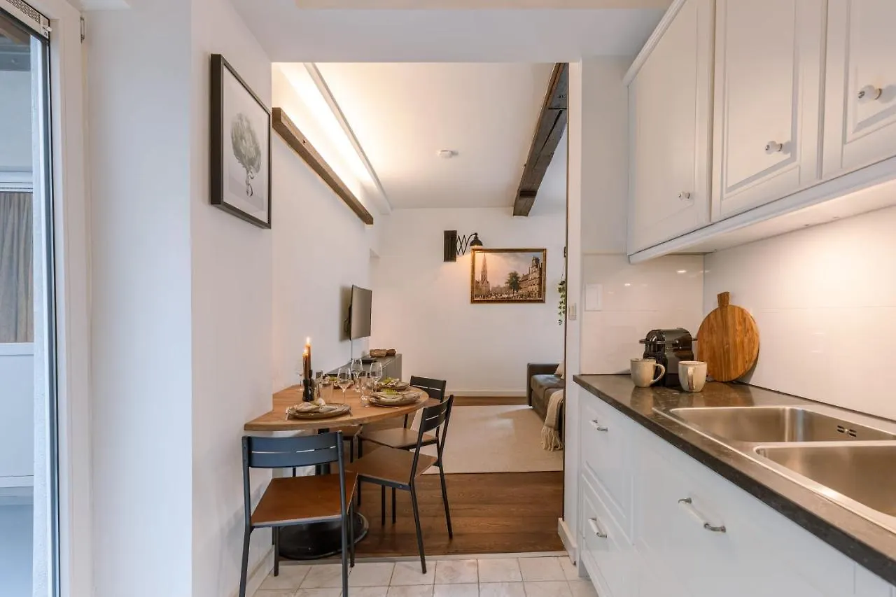 Authentic Apartment In The Heart Of Antverpy