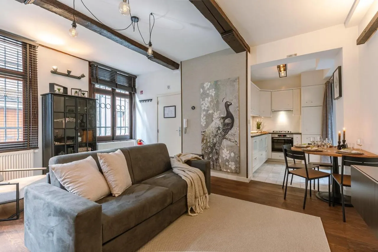 Authentic Apartment In The Heart Of Antverpy